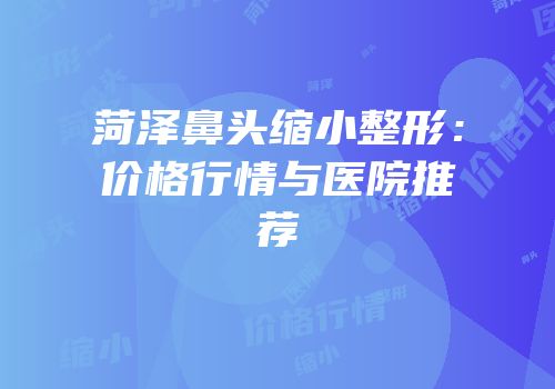 菏泽鼻头缩小整形：价格行情与医院推荐