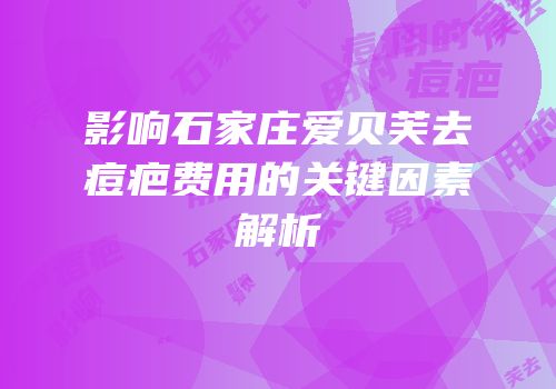 影响石家庄爱贝芙去痘疤费用的关键因素解析