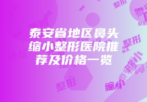 泰安省地区鼻头缩小整形医院推荐及价格一览