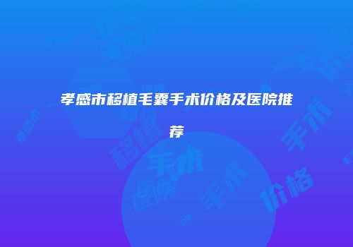 孝感市移植毛囊手术价格及医院推荐