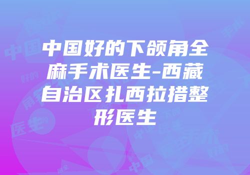 中国好的下颌角全麻手术医生-西藏自治区扎西拉措整形医生