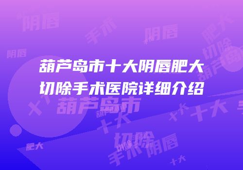 葫芦岛市十大阴唇肥大切除手术医院详细介绍