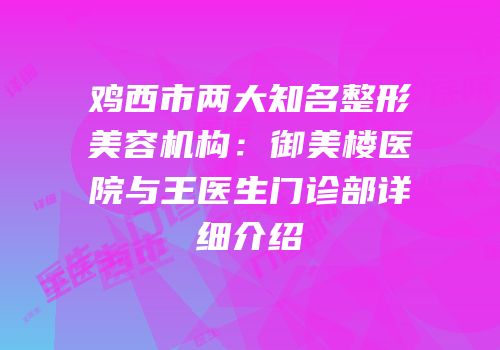 鸡西市两大知名整形美容机构：御美楼医院与王医生门诊部详细介绍