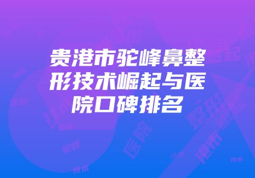 贵港市驼峰鼻整形技术崛起与医院口碑排名