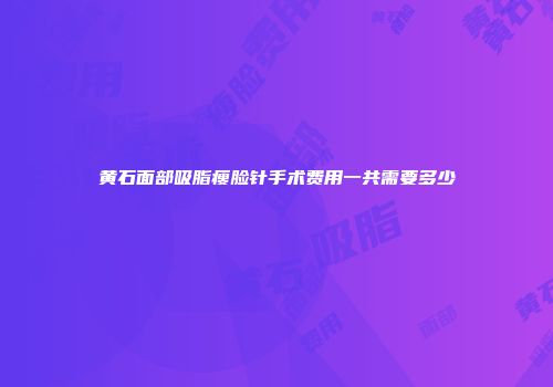 黄石面部吸脂瘦脸针手术费用一共需要多少