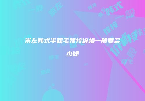 崇左韩式半睫毛嫁接价格一般要多少钱