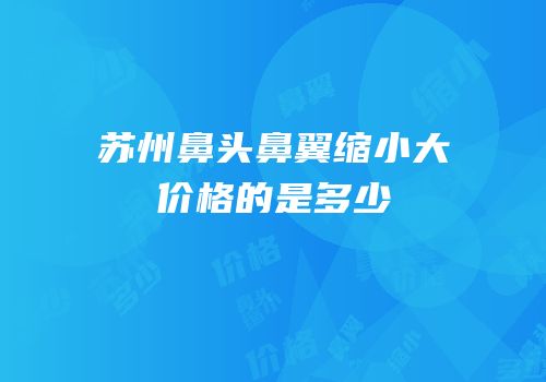 苏州鼻头鼻翼缩小大价格的是多少