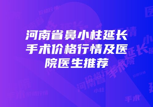 河南省鼻小柱延长手术价格行情及医院医生推荐