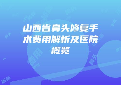 山西省鼻头修复手术费用解析及医院概览
