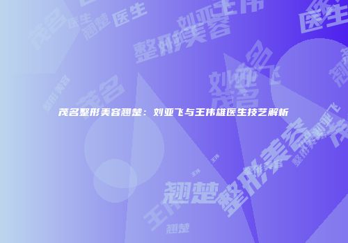 茂名整形美容翘楚：刘亚飞与王伟雄医生技艺解析
