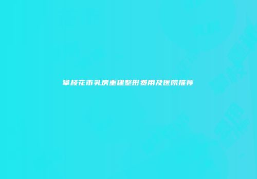 攀枝花市乳房重建整形费用及医院推荐