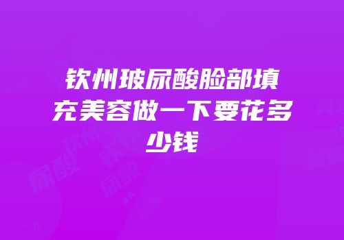 钦州玻尿酸脸部填充美容做一下要花多少钱