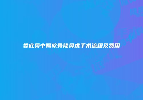 娄底鼻中隔软骨隆鼻术手术流程及费用