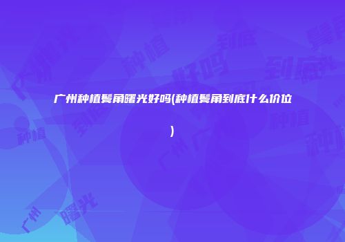 广州种植鬓角曙光好吗(种植鬓角到底什么价位)