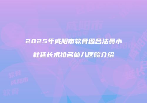 2025年咸阳市软骨缝合法鼻小柱延长术排名前八医院介绍