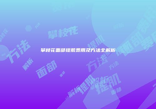 攀枝花面部提肌费用及方法全解析