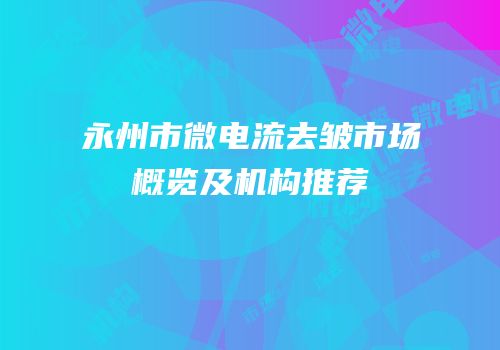永州市微电流去皱市场概览及机构推荐