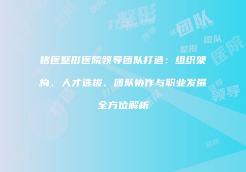 铭医整形医院领导团队打造：组织架构、人才选拔、团队协作与职业发展全方位解析
