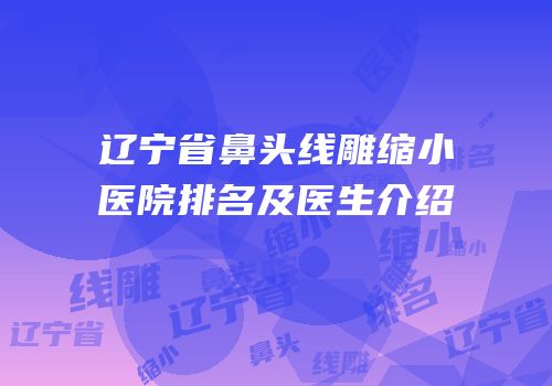 辽宁省鼻头线雕缩小医院排名及医生介绍