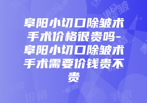 阜阳小切口除皱术手术价格很贵吗-阜阳小切口除皱术手术需要价钱贵不贵