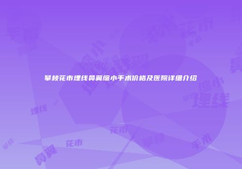 攀枝花市埋线鼻翼缩小手术价格及医院详细介绍