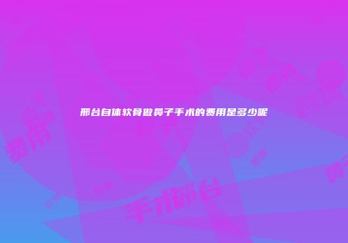邢台自体软骨做鼻子手术的费用是多少呢