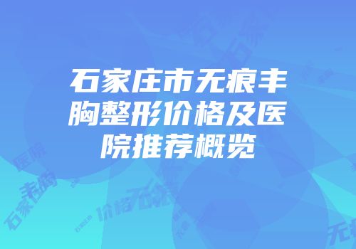 石家庄市无痕丰胸整形价格及医院推荐概览