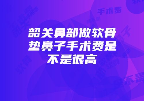 韶关鼻部做软骨垫鼻子手术费是不是很高