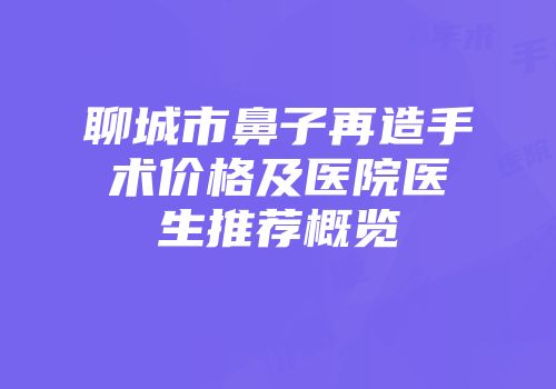 聊城市鼻子再造手术价格及医院医生推荐概览
