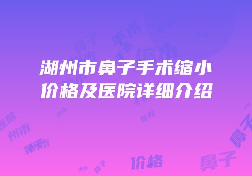 湖州市鼻子手术缩小价格及医院详细介绍