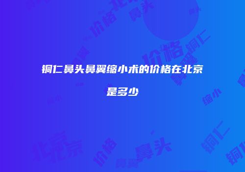铜仁鼻头鼻翼缩小术的价格在北京是多少