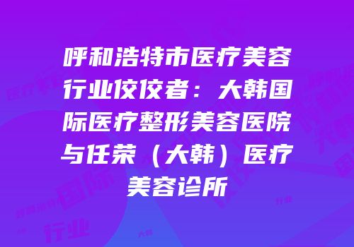 呼和浩特市医疗美容行业佼佼者：大韩国际医疗整形美容医院与任荣（大韩）医疗美容诊所