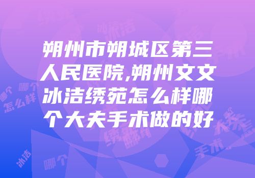 朔州市朔城区第三人民医院,朔州文文冰洁绣苑怎么样哪个大夫手术做的好