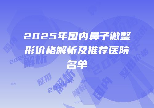 2025年国内鼻子微整形价格解析及推荐医院名单