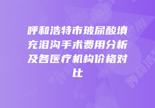 呼和浩特市玻尿酸填充泪沟手术费用分析及各医疗机构价格对比