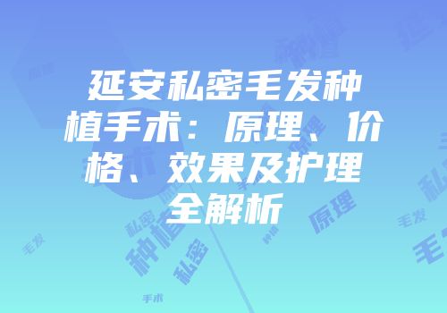 延安私密毛发种植手术：原理、价格、效果及护理全解析