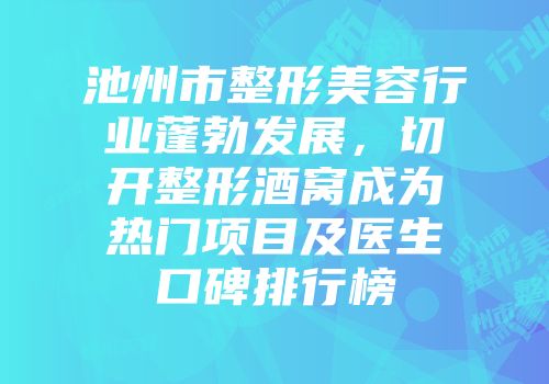 池州市整形美容行业蓬勃发展，切开整形酒窝成为热门项目及医生口碑排行榜