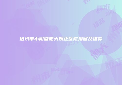 沧州市小阴唇肥大矫正医院排名及推荐