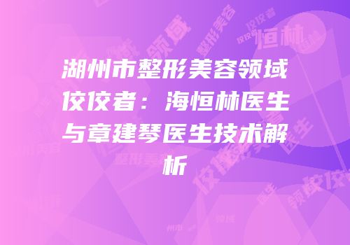 湖州市整形美容领域佼佼者：海恒林医生与章建琴医生技术解析