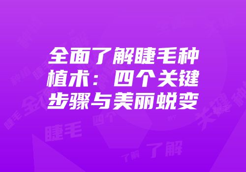 全面了解睫毛种植术：四个关键步骤与美丽蜕变