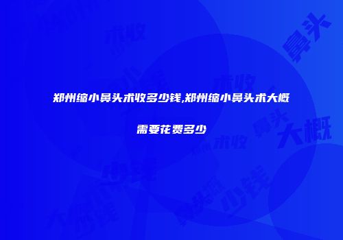 郑州缩小鼻头术收多少钱,郑州缩小鼻头术大概需要花费多少