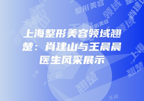 上海整形美容领域翘楚：肖建山与王晨晨医生风采展示