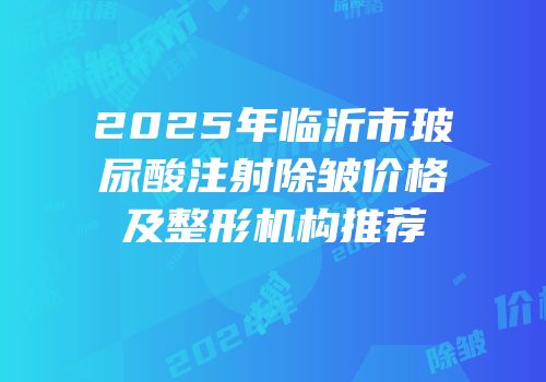 2025年临沂市玻尿酸注射除皱价格及整形机构推荐