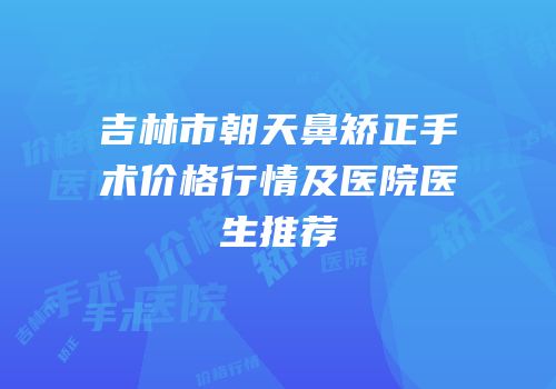吉林市朝天鼻矫正手术价格行情及医院医生推荐