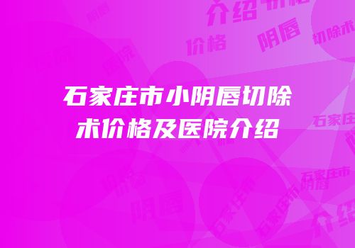 石家庄市小阴唇切除术价格及医院介绍