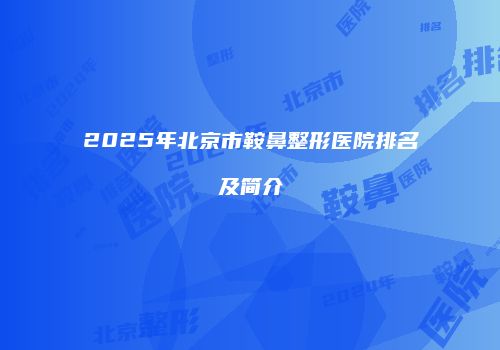 2025年北京市鞍鼻整形医院排名及简介