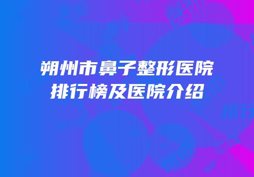朔州市鼻子整形医院排行榜及医院介绍