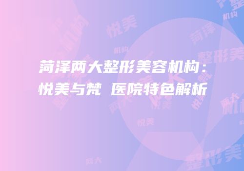 菏泽两大整形美容机构：悦美与梵晞医院特色解析