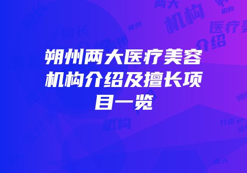 朔州两大医疗美容机构介绍及擅长项目一览
