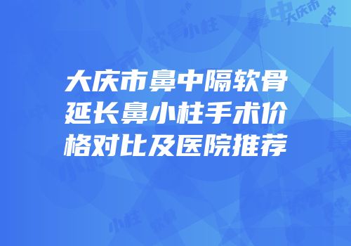 大庆市鼻中隔软骨延长鼻小柱手术价格对比及医院推荐